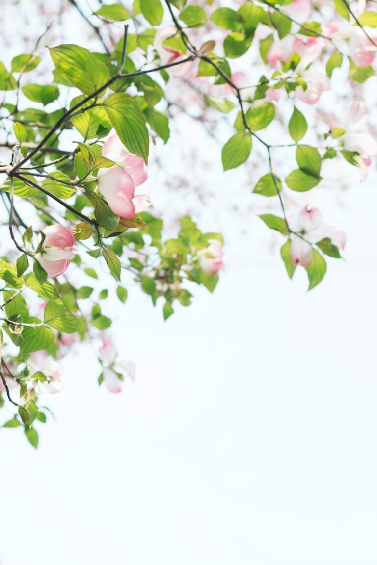 Top Trends in Romantic Floral Arrangements