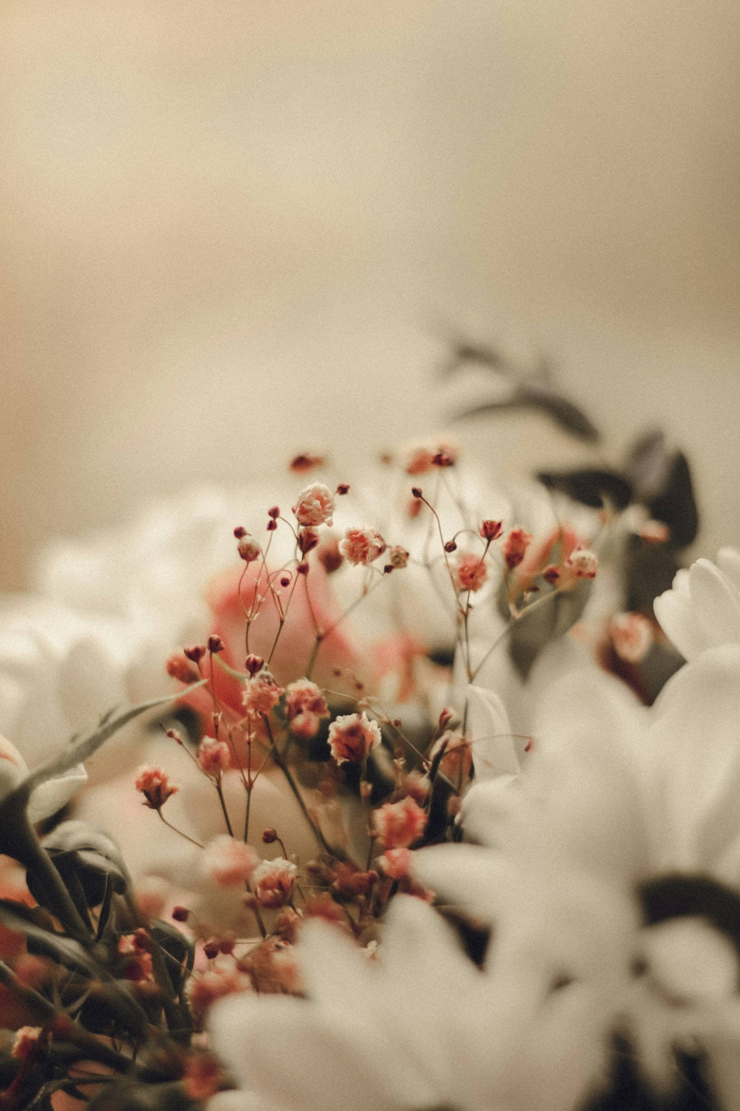 How to Choose the Perfect Bouquet for Any Occasion