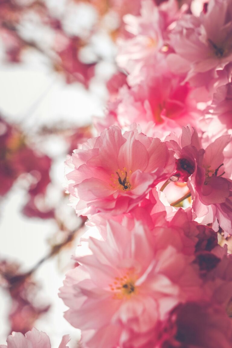 Behind the Scenes: Crafting Elegant Flower Designs