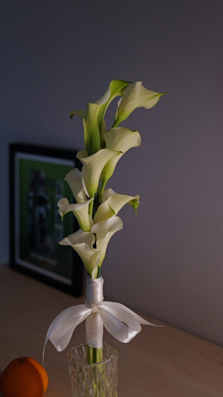 Why Flowers Make the Perfect Gift