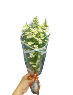BUD 02