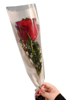BUD 06